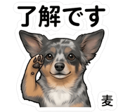 844134364