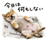 844134505