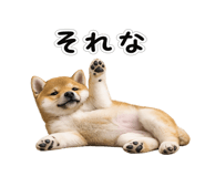 844134506