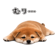844134508