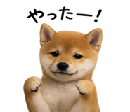 844134511