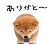 844134513