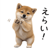 844134515