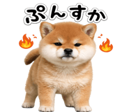 844134516