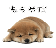 844134518