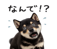 844134519