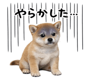 844134521