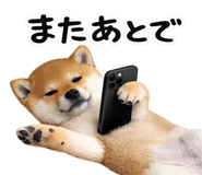 844134522