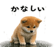 844134523