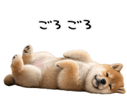844134524