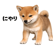 844134525