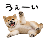 844134527