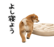 844134530