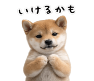 844134532