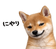 844134533