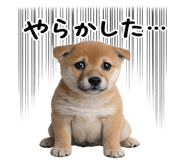 844134535