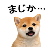 844134536