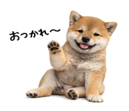844134538