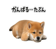 844134539