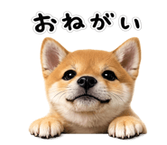 844134540