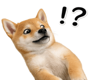 844134542
