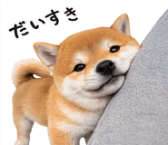 844134543