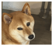 844136512
