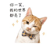 844136818