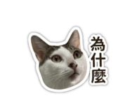 844136989