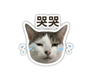 844136995