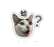 844137000