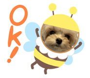 844137366
