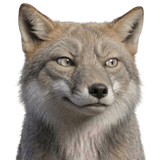 844137574