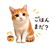844137658