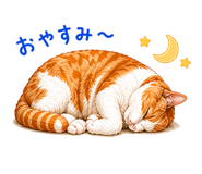 844137666
