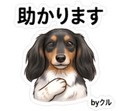 844138507