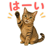 844138994