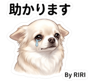 844139035