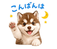 844140300