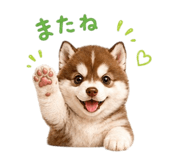 844140302