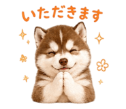 844140303