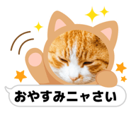 844140733