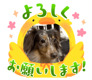 844140765