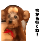 844140963
