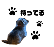 844140964