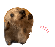 844140973