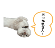 844140985