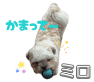 844141239