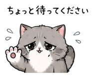 844141446