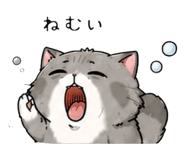 844141447